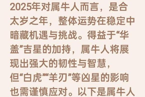 97年属牛男2025年结婚好日子(97年牛明年结婚好吗)