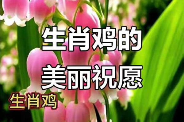鸟语花香是什么生肖？ 鸟语花香对应生肖查询