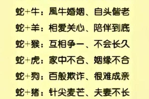 属鸡人2025蛇年运势详解：财运、事业、感情健康全预测