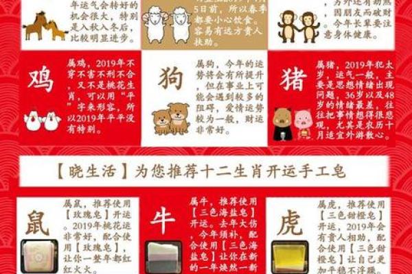 香港正版2023年生肖号码表图 2023年生肖号码表高清大图