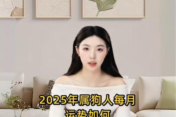 属狗的人2025年佩戴什么饰品能够提升运势和财运？