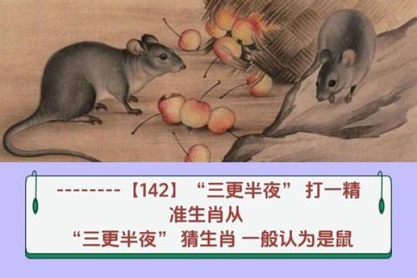 风雨一生桥与路”打一动物生肖 风雨一生桥与路谜底生肖是什么