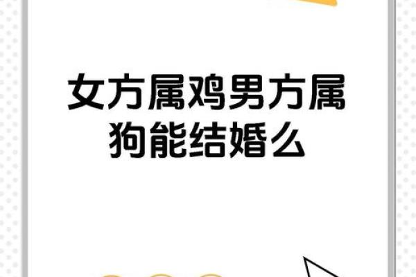属鸡的最佳婚配属相是什么，如何选择才能幸福？