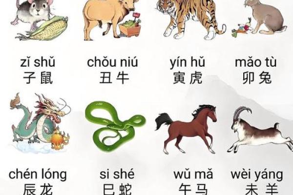 隔墙有耳代表什么生肖 隔墙有耳指什么动物生肖