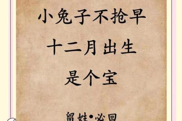 属兔的宝宝几月出生最好命？农历出生月份解析