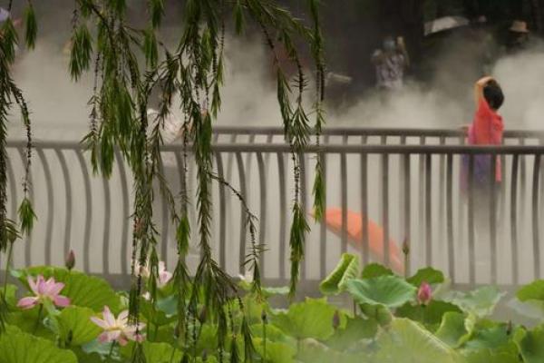 雾里看花是什么生肖？ 雾里看花对应生肖解析