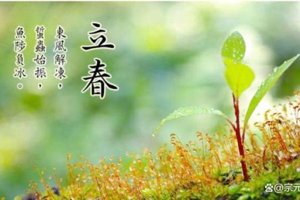 2022年立春具体是几月几号星期几，需要提前安排日程