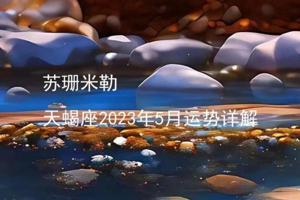 哪里可以找到苏珊米勒2013年天蝎座运势中文翻译的准确版本？