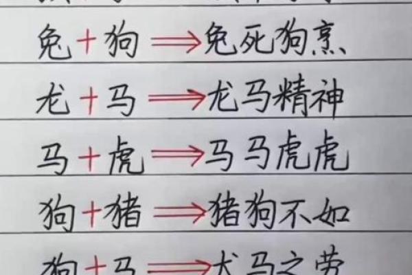 零七碎八是什么生肖 零七碎八打一生肖答案