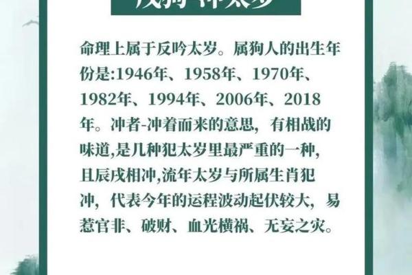 1982年5月属什么生肖 82年五月份属什么