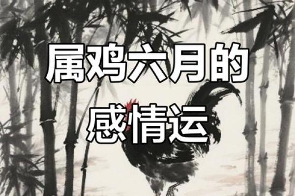 1981年出生的属鸡者今日感情运势与健康得把眼睛擦亮了详解
