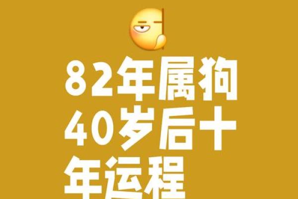 1982年属狗的人2025年全年运势运程详解完整版