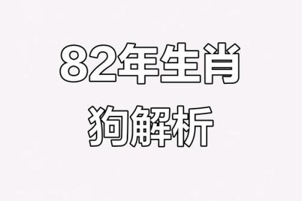 1982年属狗的人2025年全年运势运程详解完整版