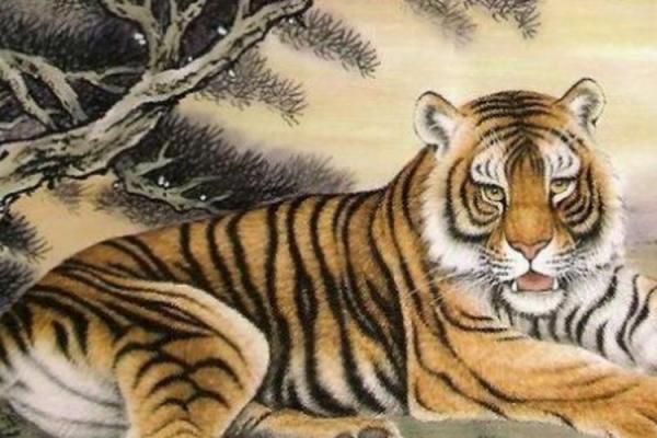 马马虎虎”指什么生肖 马马虎虎打一生肖答案