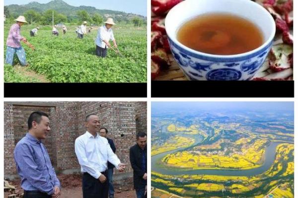 青堂瓦舍是什么生肖 青堂瓦舍打一生肖答案