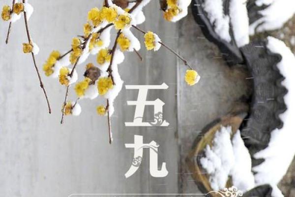 如何准确查询2021年四九寒天的当前第几日
