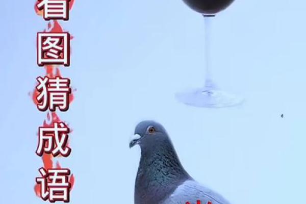 面黄肌瘦打一动物 面黄肌瘦谜语动物答案