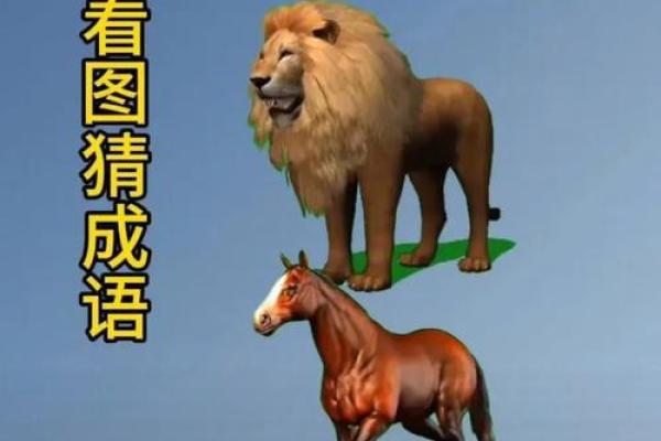 面黄肌瘦打一动物 面黄肌瘦谜语动物答案