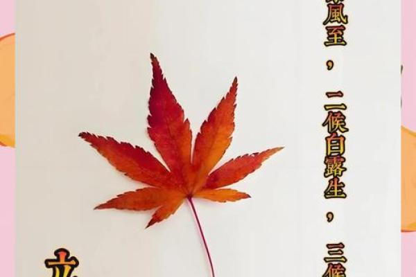 2019年立秋的准确时间是什么时候？需要精确到分钟