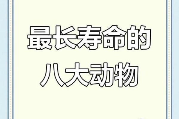 长生不死是什么生肖 生肖中象征长生不老的动物