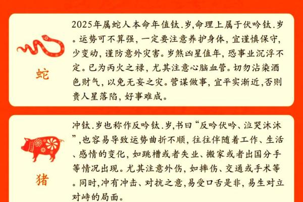 2025年属狗人的全年运势如何？有哪些需要注意的月份和开运方法？