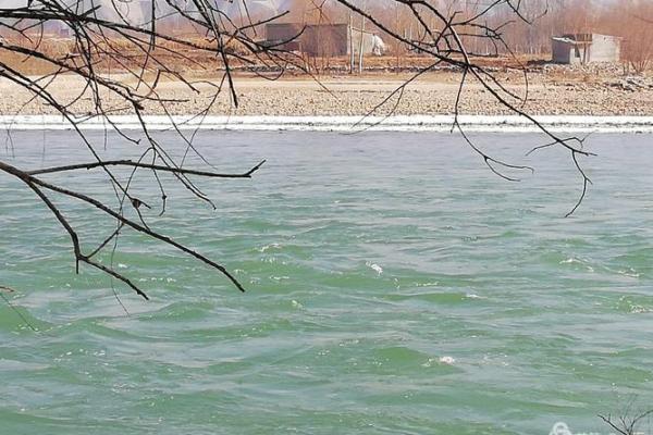 黄河水清是什么生肖 黄河水清对应生肖查询