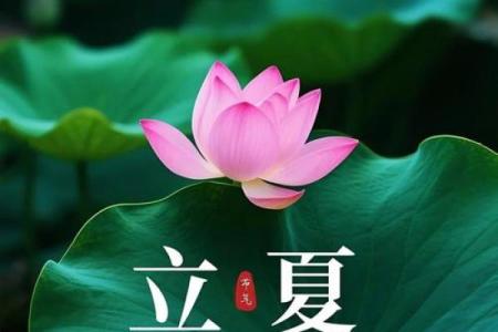 2021年立夏具体是几月几号几点几分开始？