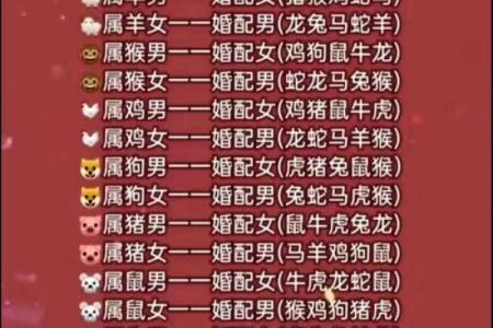 从生肖配对角度分析，两个属狗的人结婚婚姻生活是否幸福长久？