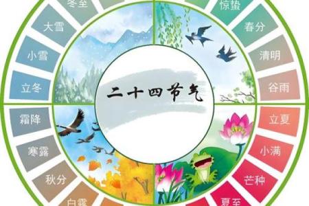 1967年农历阳历转换查询，如何准确计算当年的节气日期？
