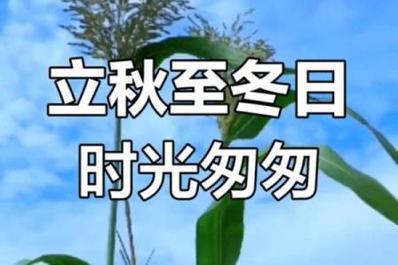 2023年立秋具体时间是几点几分？需要精确到秒吗？