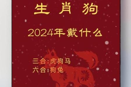 2024年属狗人全年运势详解，事业财运健康感情完整解析