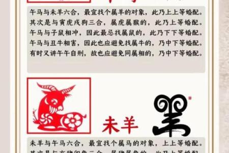 阴阳二分打一生肖 阴阳二分法生肖配对规则
