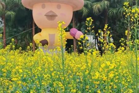 韶光似箭”打一准确生肖 韶光似箭打一生肖谜底解析