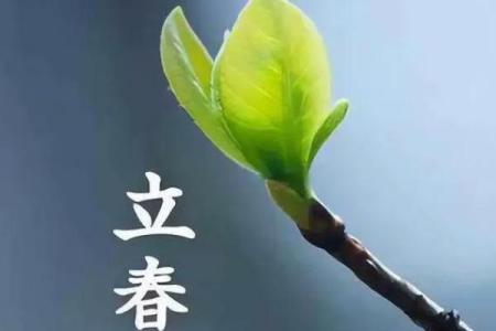 2020年立春是几月几号几点几分具体时间查询
