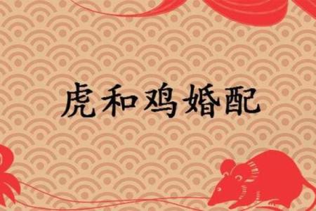 属鸡和属龙的人结婚在生肖配对中是否相合？