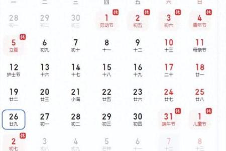 2009年农历阳历对照表带节气及法定节假日安排