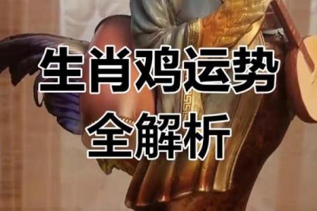 1981年出生的鸡2025年全年财运和事业运如何发展