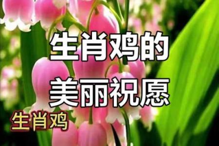 鸟语花香是什么生肖？ 鸟语花香对应生肖查询