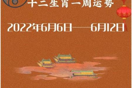香港正版2023年生肖号码表图 2023年生肖号码表高清大图