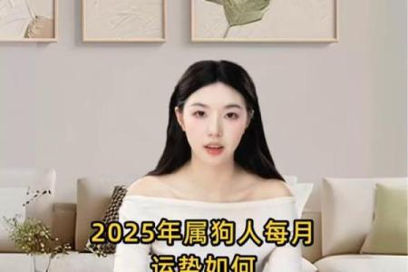 属狗的人2025年佩戴什么饰品能够提升运势和财运？