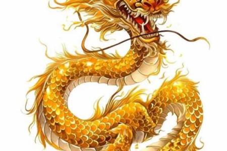 1988年出生的命运详解：属龙人一生运势和性格特点分析