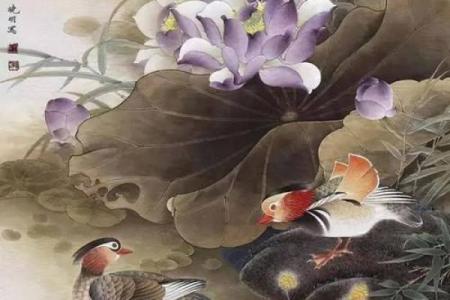 鸳鸯戏水打一个生肖 鸳鸯戏水生肖谜底是什么