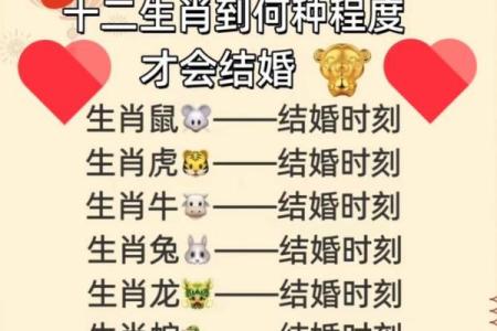 2016年十二生肖运势详解，看看你属相今年财运健康如何