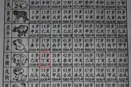2007年出生的人具体在哪一年满18周岁成年？