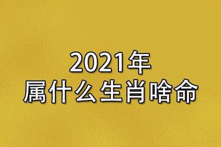 2021年9月24日五行属什么穿什么颜色旺财，详细教程