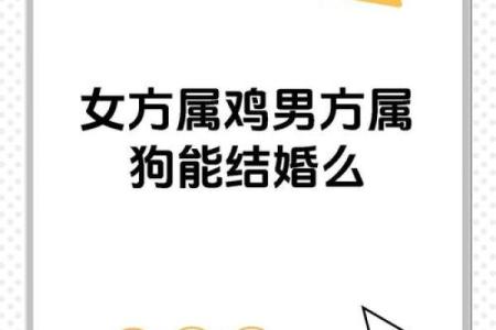 属鸡的最佳婚配属相是什么，如何选择才能幸福？