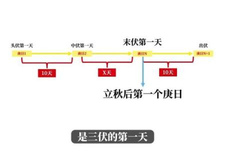 2021年三伏天具体从哪一天开始计算？