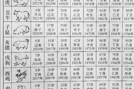 属兔的宝宝几月出生最好命？农历出生月份解析