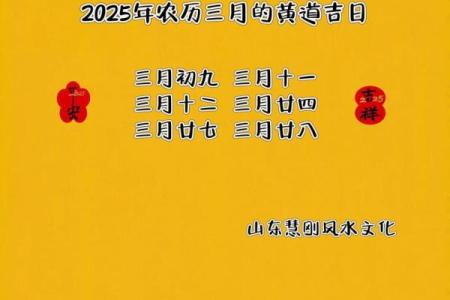 2026年1月最适合新店开张的黄道吉日有哪几天