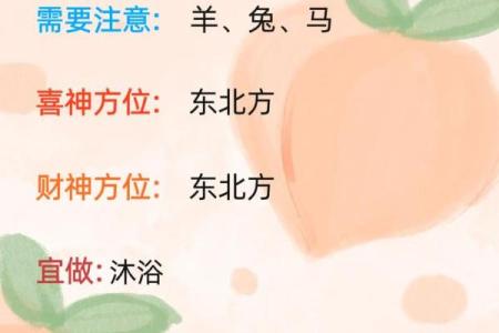 2024龙年属鸡人的全年运势详解，事业财运健康感情全面解析